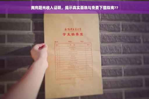 南充阳光收入证明，揭示真实面貌与免费下载指南??