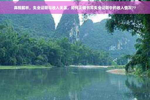 真相解析，失业证明与收入关系，如何正确书写失业证明中的收入情况??