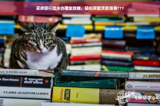 买房银行流水办理全攻略，轻松获取贷款指南???