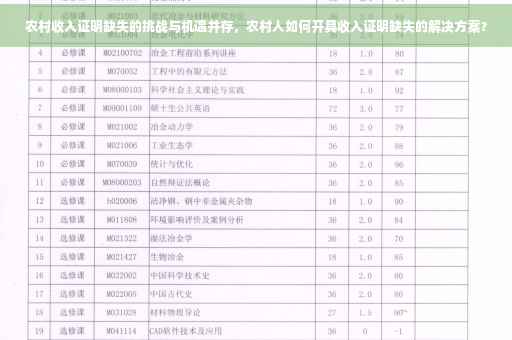 农村收入证明缺失的挑战与机遇并存，农村人如何开具收入证明缺失的解决方案？