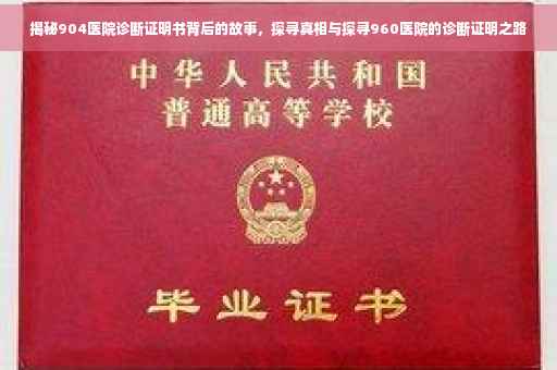 揭秘904医院诊断证明书背后的故事，探寻真相与探寻960医院的诊断证明之路