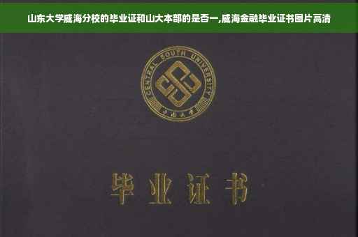 山东大学威海分校的毕业证和山大本部的是否一,威海金融毕业证书图片高清