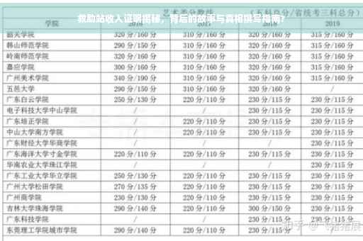 救助站收入证明揭秘，背后的故事与真相撰写指南?
