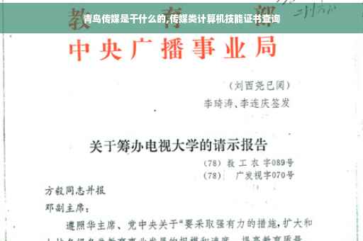 青鸟传媒是干什么的,传媒类计算机技能证书查询