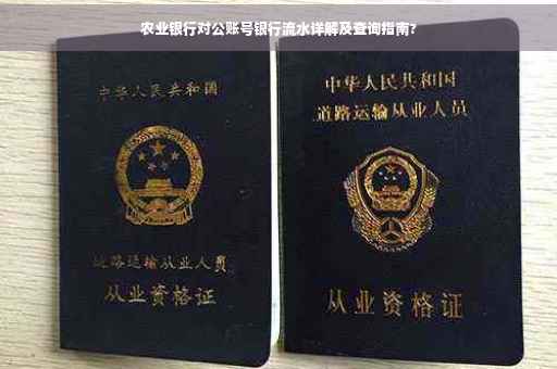 农业银行对公账号银行流水详解及查询指南?