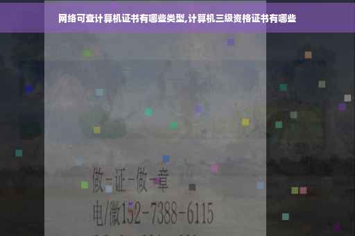 网络可查计算机证书有哪些类型,计算机三级资格证书有哪些