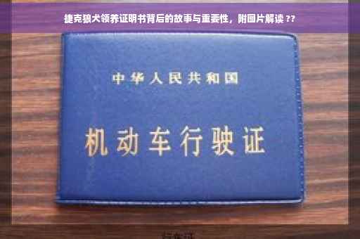 捷克狼犬领养证明书背后的故事与重要性，附图片解读 ??
