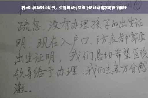 村里出具婚姻证明书，传统与现代交织下的证明需求与程序解析