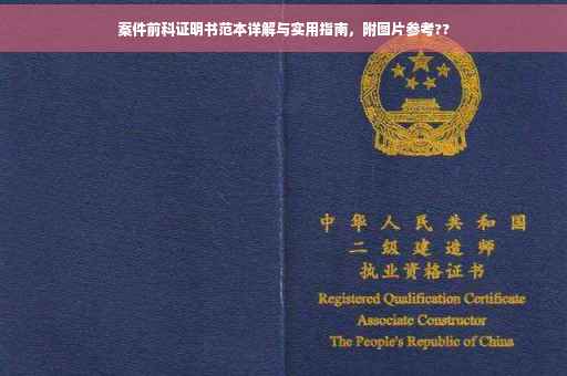 案件前科证明书范本详解与实用指南，附图片参考??