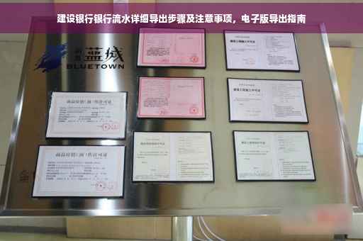 建设银行银行流水详细导出步骤及注意事项，电子版导出指南