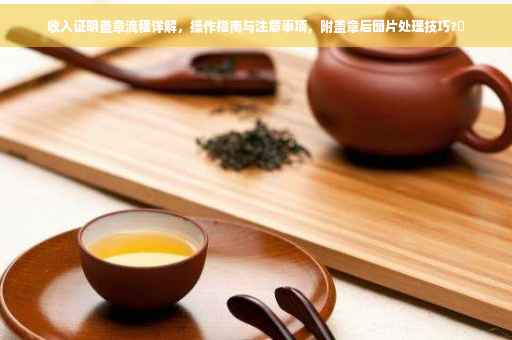 收入证明盖章流程详解，操作指南与注意事项，附盖章后图片处理技巧?✨