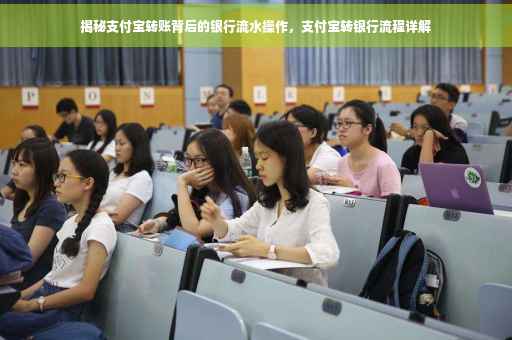 揭秘支付宝转账背后的银行流水操作，支付宝转银行流程详解