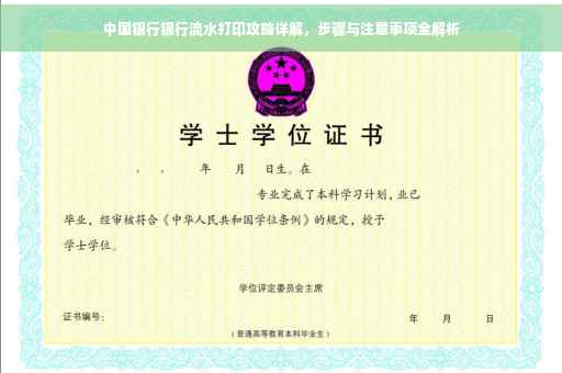 中国银行银行流水打印攻略详解，步骤与注意事项全解析
