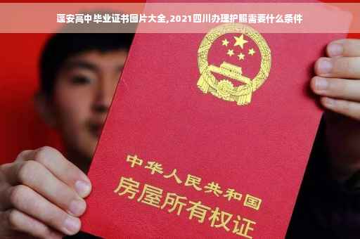 蓬安高中毕业证书图片大全,2021四川办理护照需要什么条件
