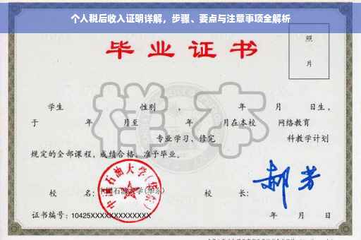 个人税后收入证明详解，步骤、要点与注意事项全解析