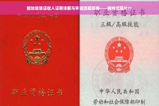 新加坡签证收入证明详解与申请流程指南——附格式图片??