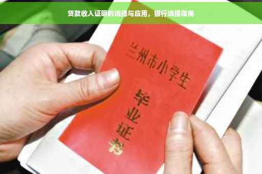 贷款收入证明的选择与应用，银行选择指南