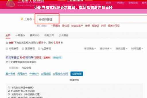 证明书格式规范要求详解，撰写指南与注意事项