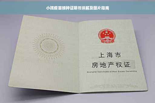 小孩疫苗接种证明书详解及图片指南