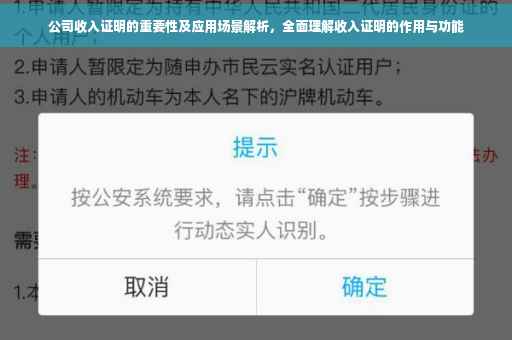 公司收入证明的重要性及应用场景解析，全面理解收入证明的作用与功能