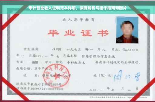 审计营业收入证明范本详解，深度解析与操作指南带图片
