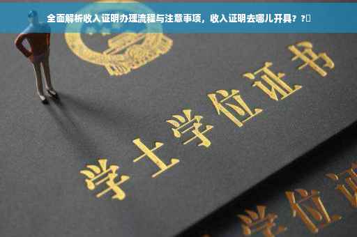 全面解析收入证明办理流程与注意事项，收入证明去哪儿开具？?✨