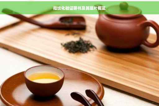指纹化验证明书及其图片概览