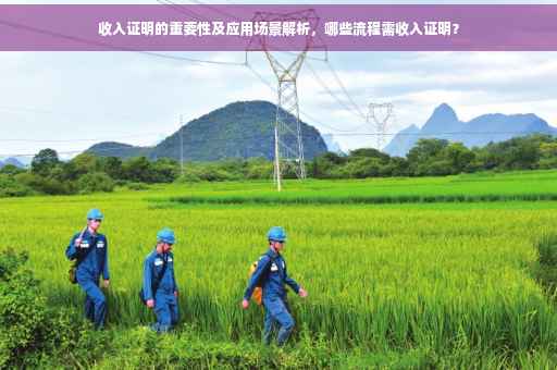 收入证明的重要性及应用场景解析，哪些流程需收入证明？