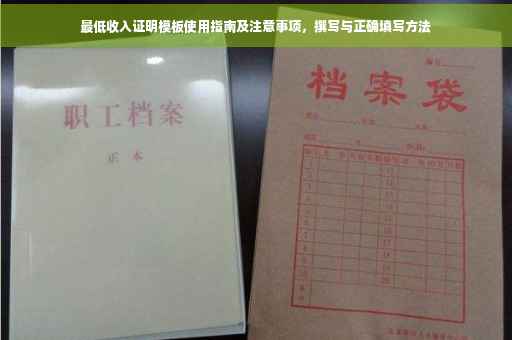 最低收入证明模板使用指南及注意事项，撰写与正确填写方法
