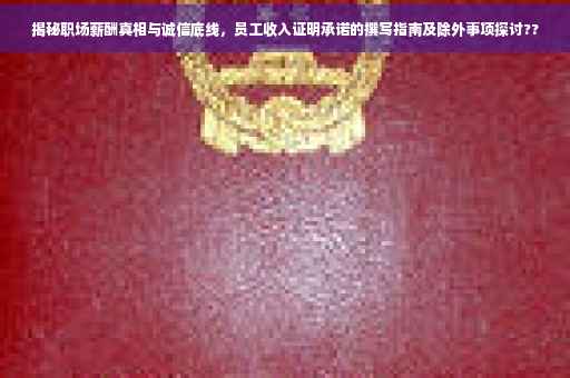 揭秘职场薪酬真相与诚信底线，员工收入证明承诺的撰写指南及除外事项探讨??