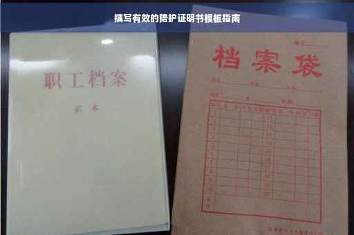 撰写有效的陪护证明书模板指南