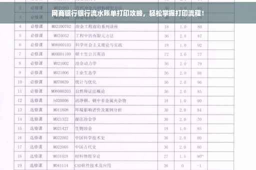 网商银行银行流水账单打印攻略，轻松掌握打印流程！