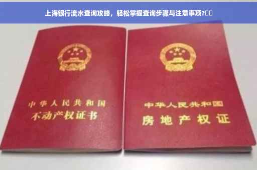 上海银行流水查询攻略，轻松掌握查询步骤与注意事项?⚡️