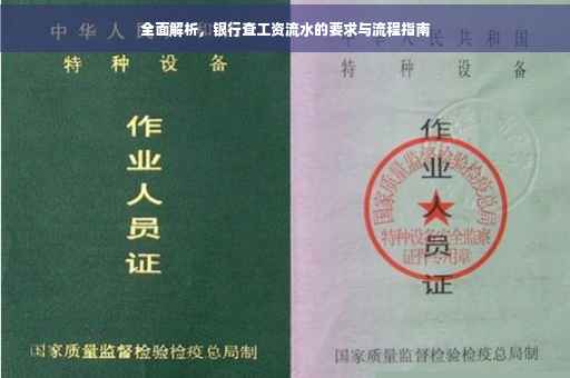全面解析，银行查工资流水的要求与流程指南