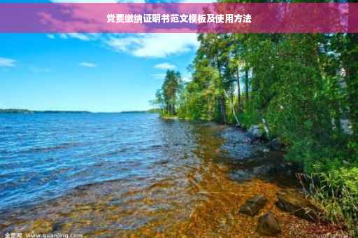 党费缴纳证明书范文模板及使用方法