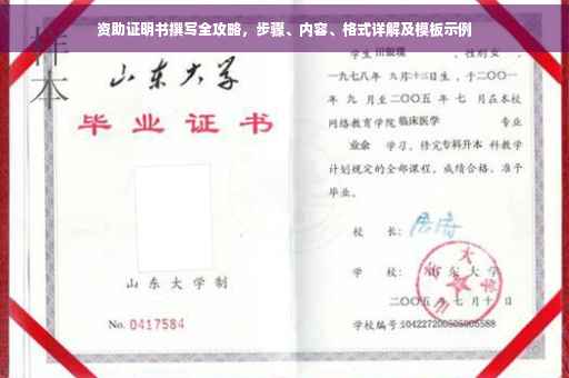 资助证明书撰写全攻略，步骤、内容、格式详解及模板示例