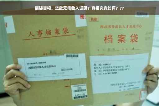 揭秘真相，贷款无需收入证明？真相究竟如何？??