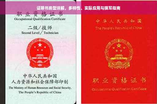 证明书类型详解，多样性、实际应用与撰写指南