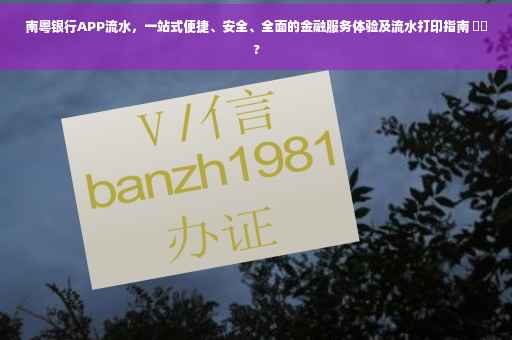 南粤银行APP流水，一站式便捷、安全、全面的金融服务体验及流水打印指南 ⚡️?