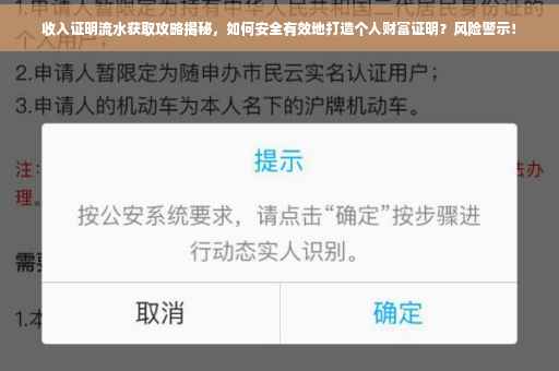 收入证明流水获取攻略揭秘，如何安全有效地打造个人财富证明？风险警示！
