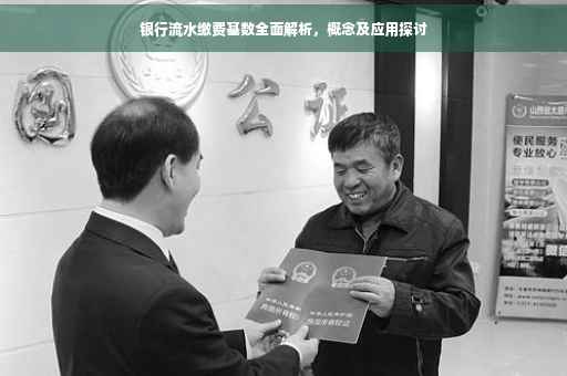 银行流水缴费基数全面解析，概念及应用探讨