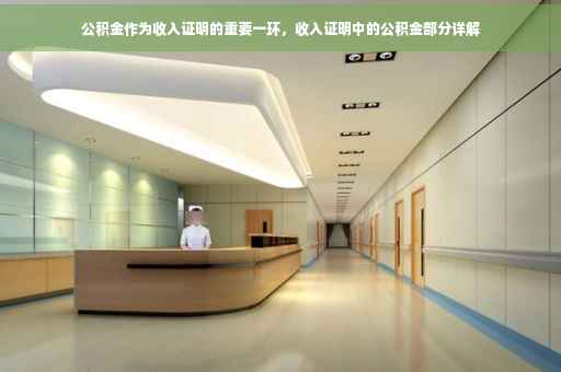 公积金作为收入证明的重要一环，收入证明中的公积金部分详解
