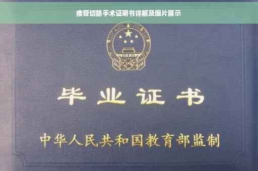 瘘管切除手术证明书详解及图片展示