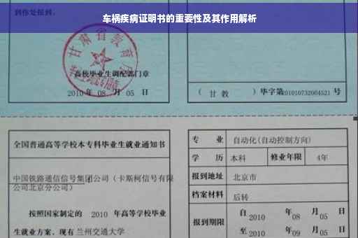 车祸疾病证明书的重要性及其作用解析