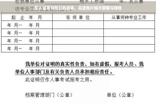 军人证明书背后的故事，高清图片揭示荣耀与牺牲