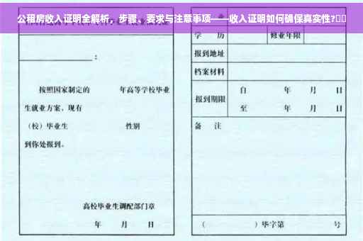 公租房收入证明全解析，步骤、要求与注意事项——收入证明如何确保真实性?⚡️