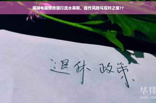 揭秘电脑修改银行流水真相，操作风险与应对之策??