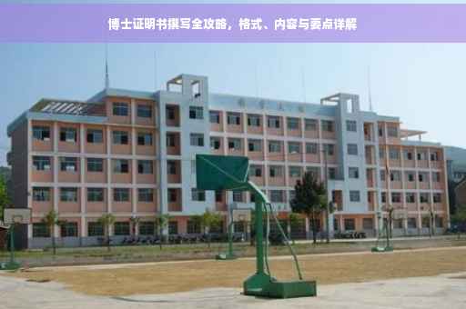 博士证明书撰写全攻略，格式、内容与要点详解