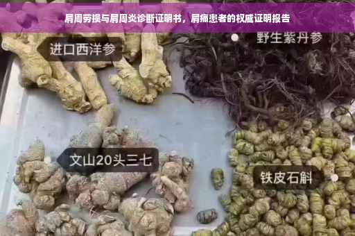 肩周劳损与肩周炎诊断证明书，肩痛患者的权威证明报告