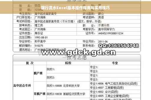 银行流水Excel版本操作指南与实用技巧